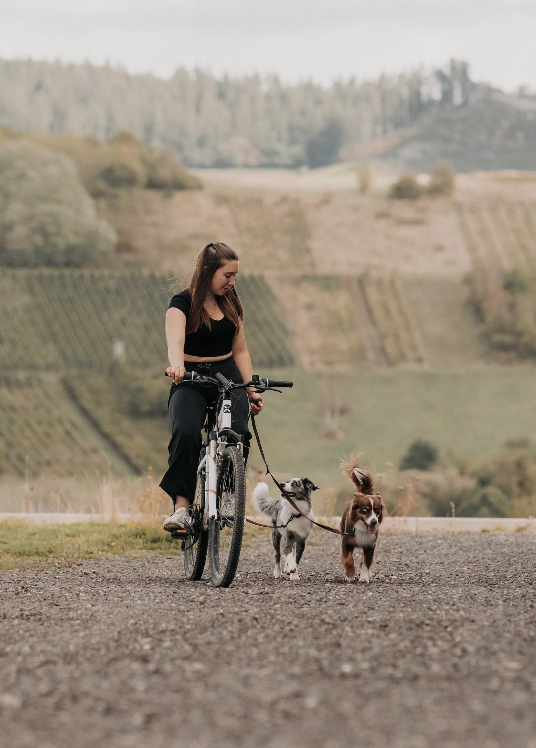 Frau fährt Fahrrad, begleitet von zwei Hunden an der Leine